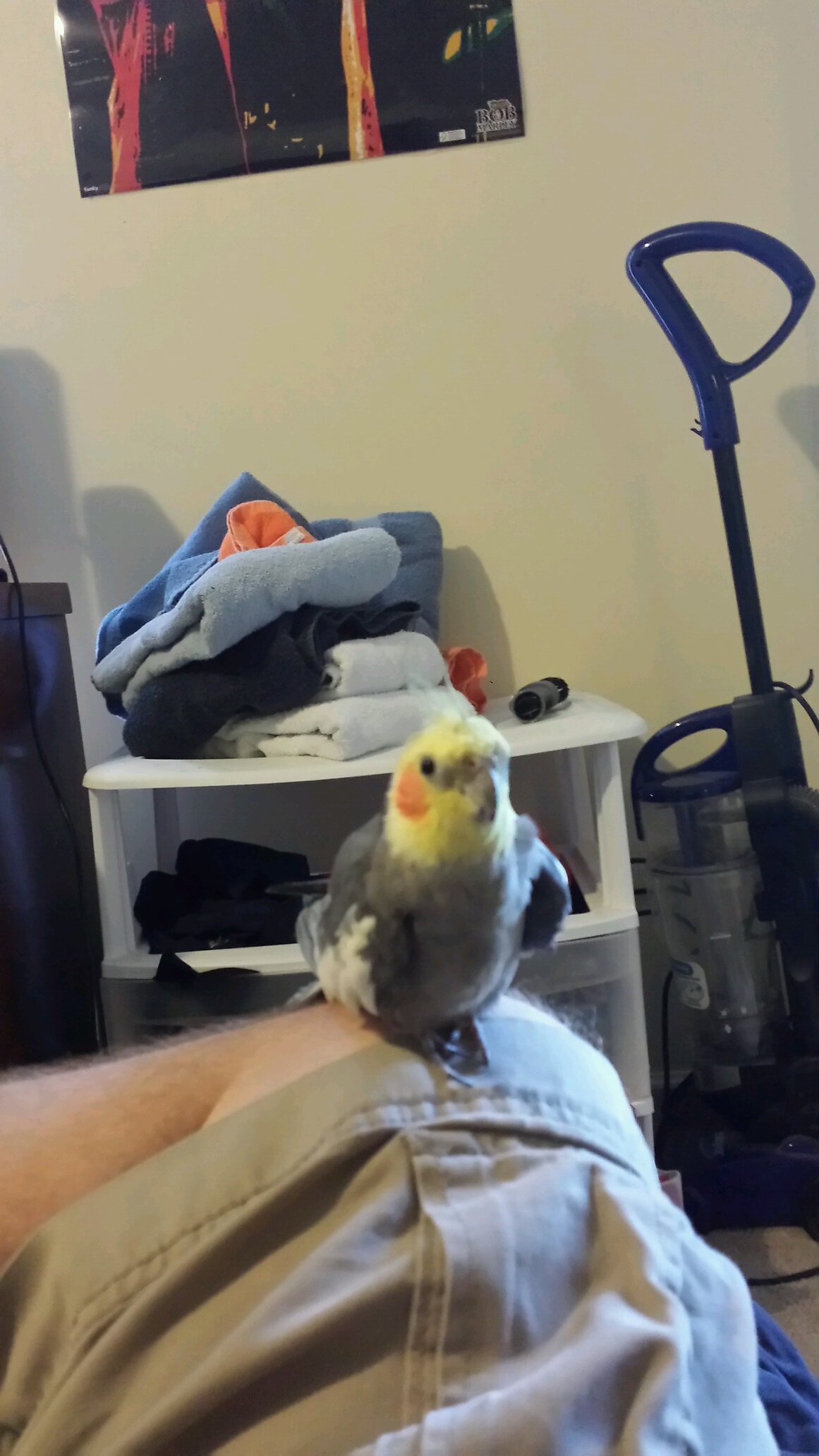 Bobbyyeet88's profile picture. #JESUS