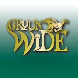 GrounWide's profile picture. The Finest Vintage New & Used Guitars, Basses, Amps.            https://t.co/UG5YcDsYap