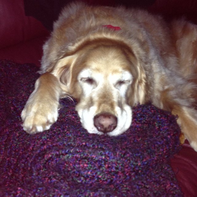 tiffanigreener's profile picture. Selling real estate in the Twin Cities Metro..love the outdoors. camping, fishing, swimming.