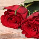 0599199624 واتس فقط (@00966599199624) Twitter