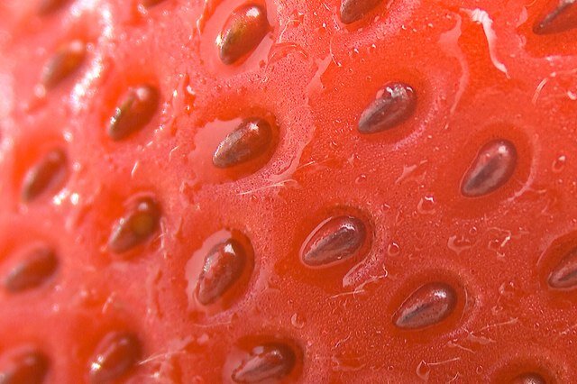Pictures of everyday things up close.