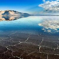 ISSLR_saline lakes (@isslr_) 's Twitter Profile
