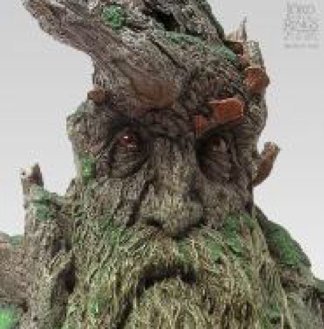 treebeardcreate's profile picture. 