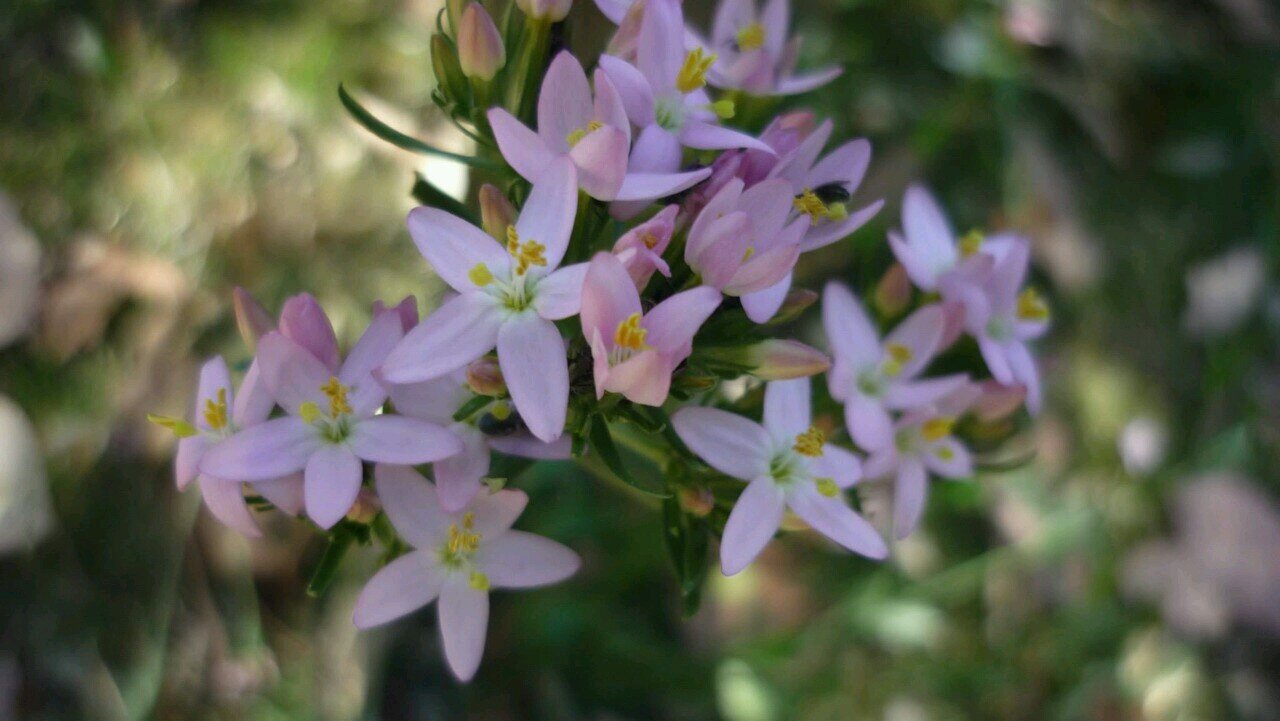 EnsurNoor's profile picture. 