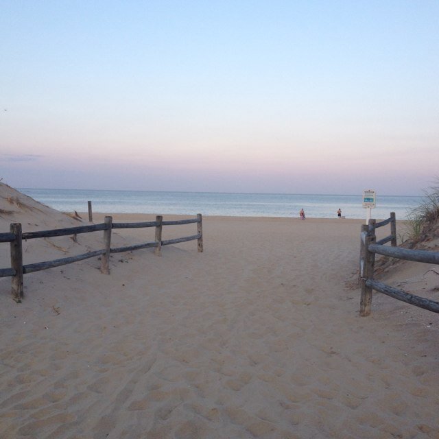 beachbu97863878's profile picture. 