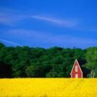 Vandemadeson (@joostjoost) 's Twitter Profile