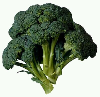 Just a lil bit of broccoli gettin' by, postin' mostly quotes from high conversations.