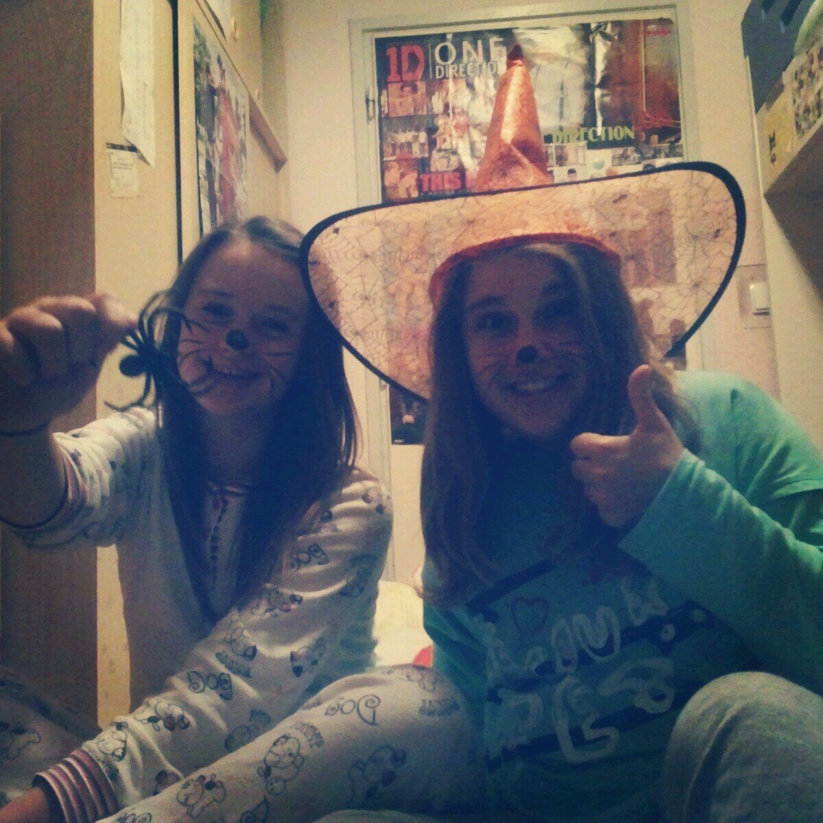 Directioner/Mixer/Slovenia/13/follow me:)