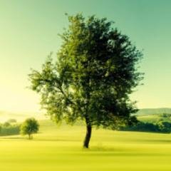 مدون مصرى ومصمم فوتوشوب