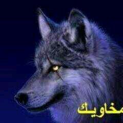تابعوني وستجدون ما يسركم بأذن الله