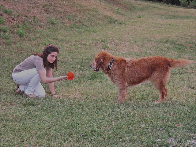 SilviaAAF's profile picture. Gastronoma per studi e passione, food & wine maniac, appassionata di politica e comunicazione 2.0. Food digital marketing, Torino