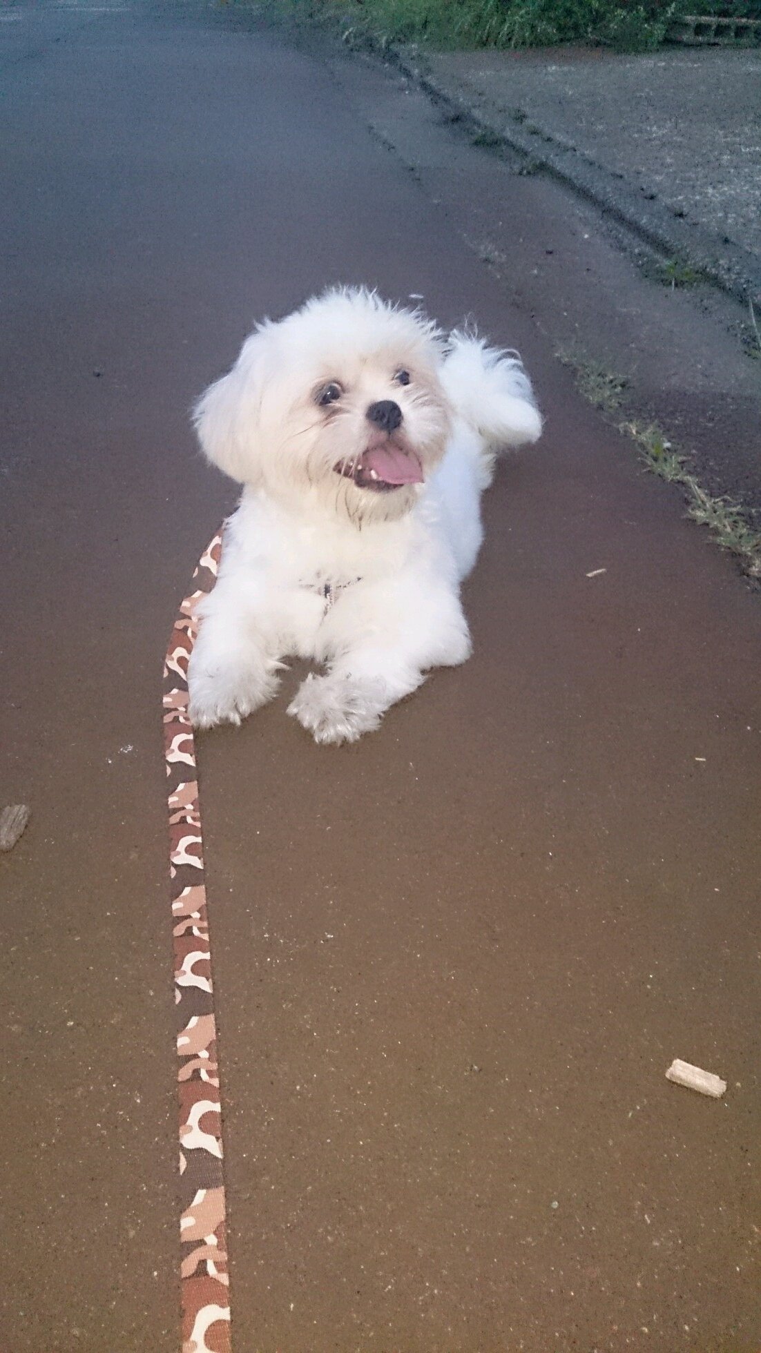 popi0430's profile picture. 