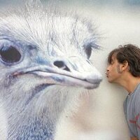 Pablo Zari (@pablozari) 's Twitter Profile Photo Pablo Zari (@pablozari) 's Twitter Profile Photo