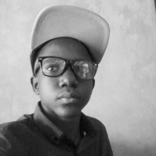 Vutzin's profile picture. I'm a fucking programmer. I'm also into robotics and other cool stuff