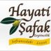 şafak zeytin (@safakzeytin) Twitter profile photo