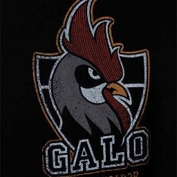 AQUI É GALO DOIDO ,GALO PAIXÃO QUE NÃO SE EXPLICA SE SENTE ,GALO É AMOR GALO É PAIXÃO, GALO É CAMPEÃO.