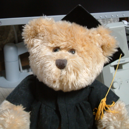 nkoguro's profile picture. Software Engineer