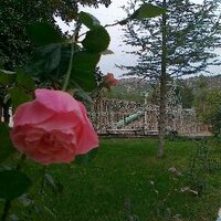 rifat can (@06canrifatcan) 's Twitter Profile