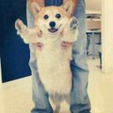 タッツ~ (@0812kendo) Twitter