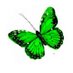 Droom voor Renkum (@droomvoorrenkum) Twitter profile photo
