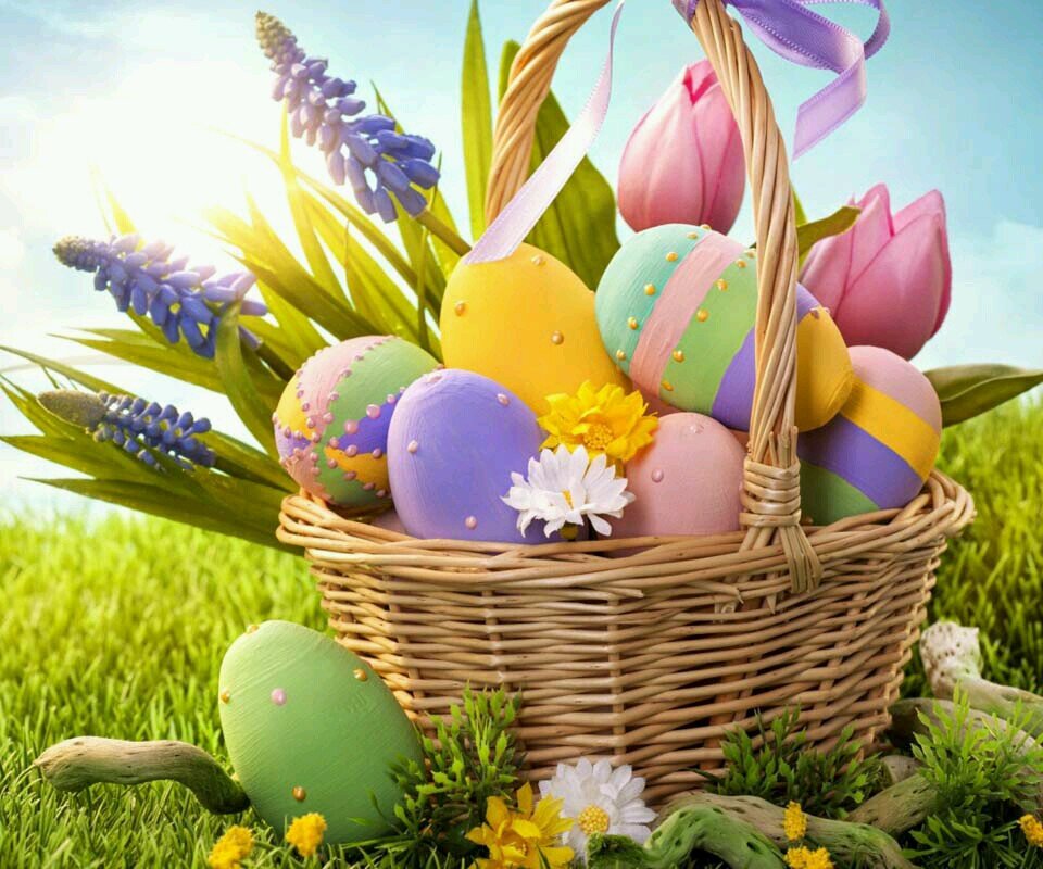 2016404's profile picture. 