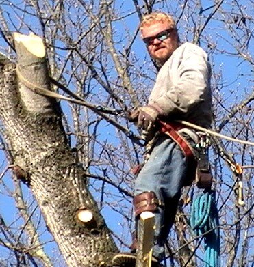 Climber, Rigging, we can take care of your tree issues. If your tree is Dead or Alive we strive to satisfy our customer needs.