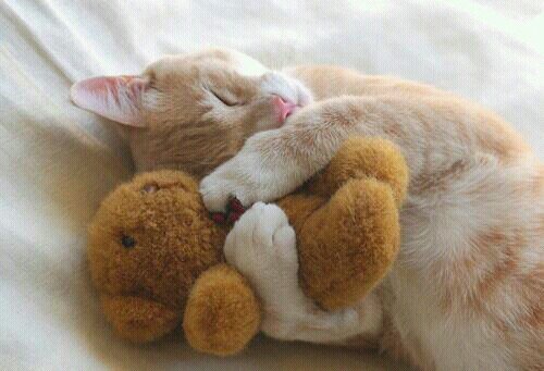 Happy Time 活動再開 Na Twitterze うまれたしあわせと書いて 誕生日 生まれてきたこと それは あなたにとって あなたの周りの人にとって 幸せなこと あなたも あのひとも わたしも 生まれてきてくれてありがとう Http T Co Dp3mdcnc Happy Time 活動再開 Na Twitterze うまれたしあわせと書いて 誕生日 生まれてきたこと それは あなたにとって あなたの周りの人にとって 幸せなこと あなたも あのひとも わたしも 生まれてきてくれてありがとう Http T Co Dp3mdcnc