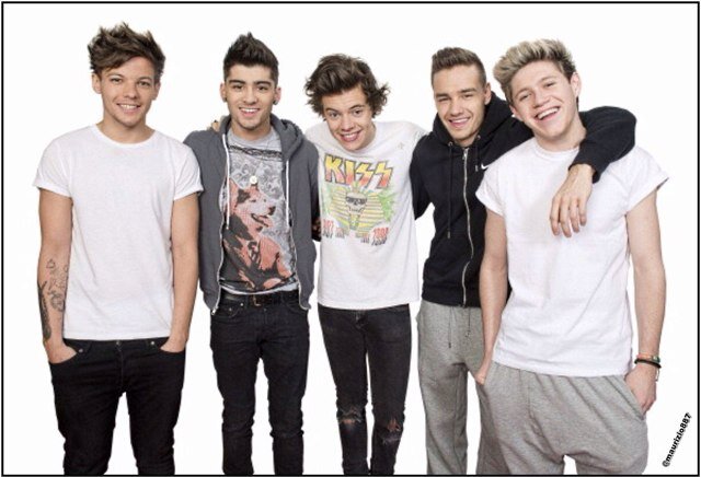 LOVER OF 1D I LOVE THEM I WANT THEM TO NOTICE ME SO BAD THEY HAVE STOLEN MY HEART❤❤❤❤1D FAN FOREVER