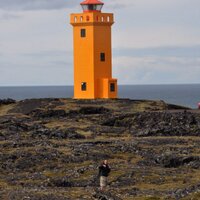 wim van swalm (@wimvanswalm) 's Twitter Profile