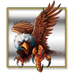 eaglestalonmoto's profile picture. The place for all your aftermarket parts, sales, service, leather, custom embroidered patches, ride pins and accessories