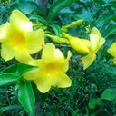 sandra chavarria del - @sandrachavarr18 - Twitter