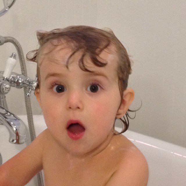 BobcatBob017's profile picture. 