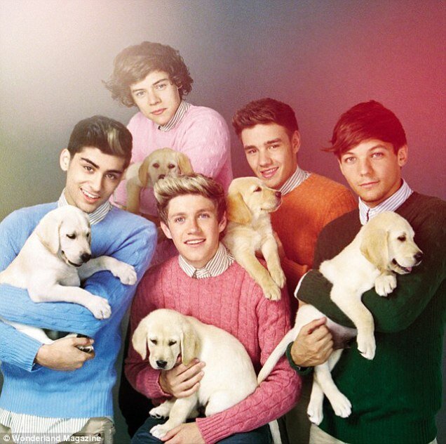 Forever a directioner! follow i follow back!! ❤️❤️❤️