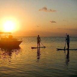 All inclusive, private charter for up to 6 ppl. Paddleboard, snorkel, fish, or just chill on a private island beach: we're exactly what you're looking for!