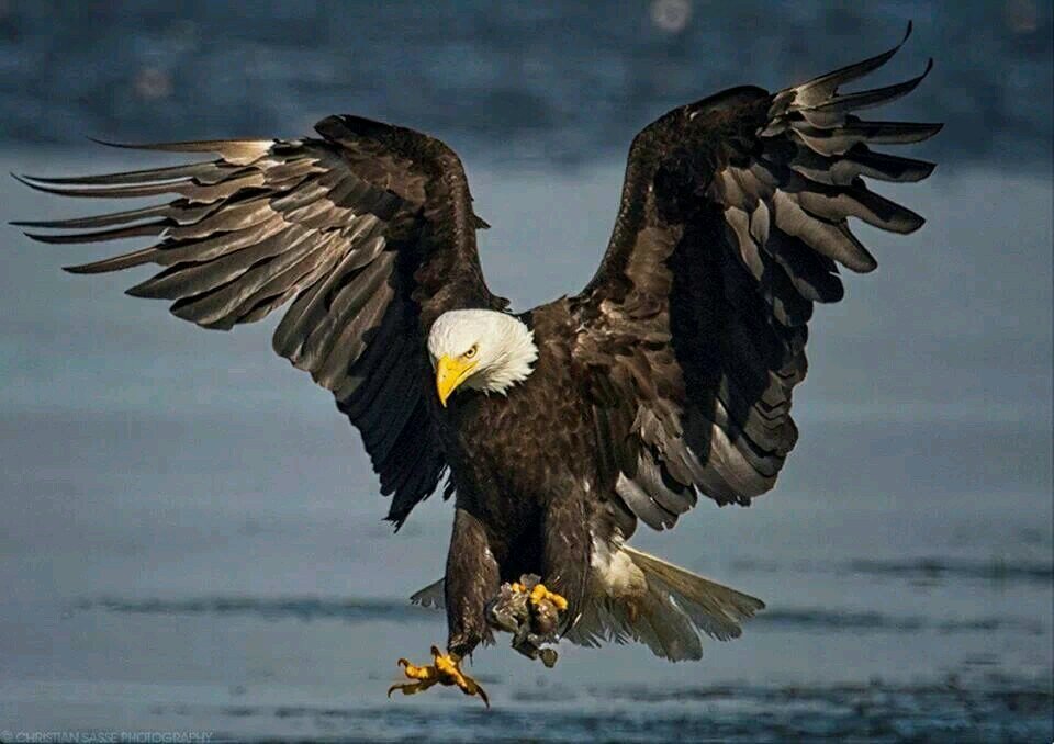 arb343's profile picture. 