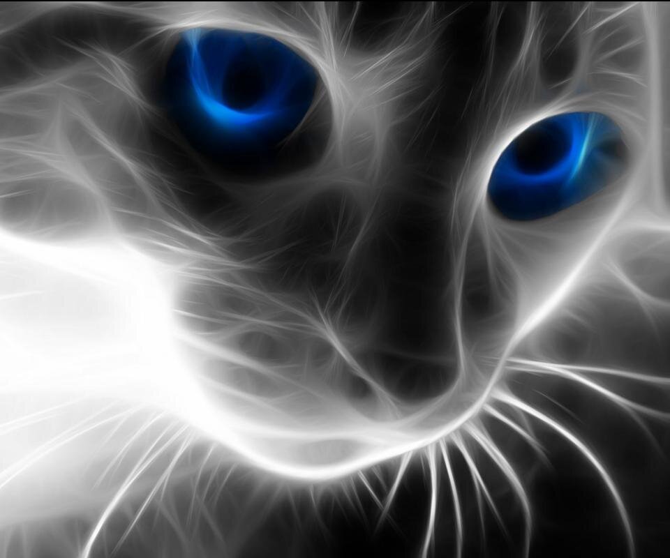 MuazzimNazran99's profile picture. 