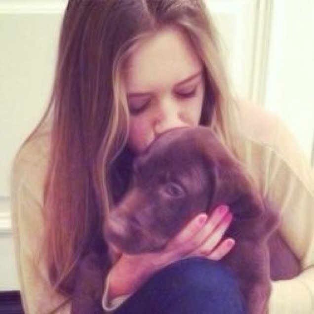 stassieinutil's profile picture. 