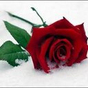 nur (@006Nur) Twitter