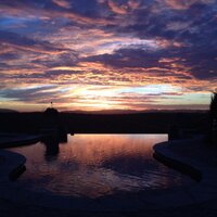 Palumbo Winery (@palumbowinery) 's Twitter Profile