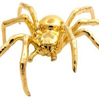 Golden Spiders (@mlp_gspiders) 's Twitter Profile