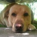 margit fodor - @margitafd - Twitter