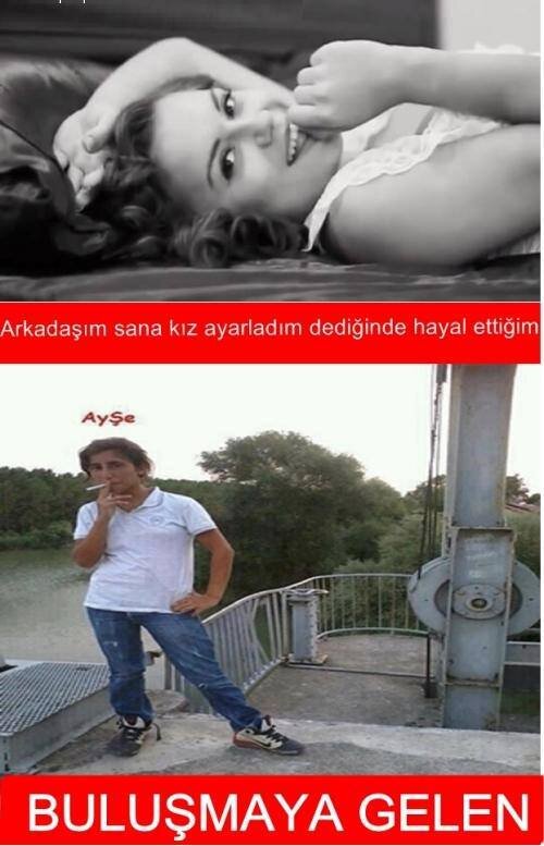 Hayvanseverbitimiim