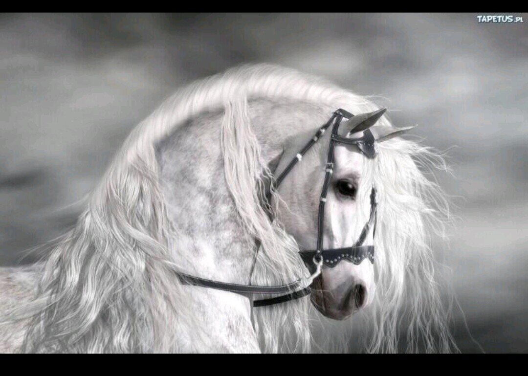 hadi2020ah's profile picture. 