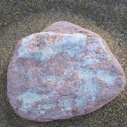 Petranthropos's profile picture. Music It doesn't have to be linear. Just tell me how you feel