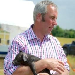 I have a herd of rare breed Large Black Pigs next to Oxburgh Hall in West Norfolk