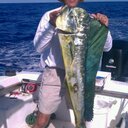 Thomas Wilkes - @sum4me69 - Twitter