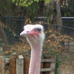 tfmichael1's profile picture. You either know me or you don't