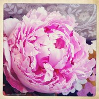 Sara Slade ๐ (@sarasladephysio) 's Twitter Profile Photo Sara Slade ๐ (@sarasladephysio) 's Twitter Profile Photo