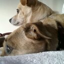 ian lockley - @IanLockley - Twitter