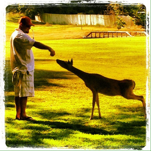 Longhorn, Golfer, Cowboys + Rangers + Mavericks + Stars Fan, Go Navy Beat Army, Son of a Viet Vet and 4th Gen Texan. Survivor of WWIII. And, I pet wild deer.